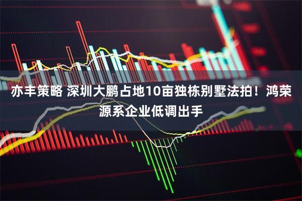 亦丰策略 深圳大鹏占地10亩独栋别墅法拍！鸿荣源系企业低调出手