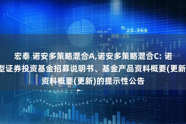 宏泰 诺安多策略混合A,诺安多策略混合C: 诺安多策略混合型证券投资基金招募说明书、基金产品资料概要(更新)的提示性公告